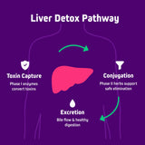 Herbtonics Milk Thistle 20-in-1 Liver Support Supplement ingredients list