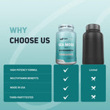 Herbtonics Sea Moss Advanced Formula Capsules lifestyle scene