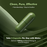 HERVIVA Moringa Capsules 1200mg open bottle with capsules