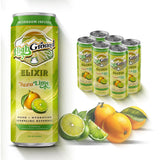 High Ground Functional Mushroom Elixir 12-Pack Yuzu Lime and Strawberry Peach front view