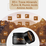 Hima Shilajatu Shilajit Resin texture close-up