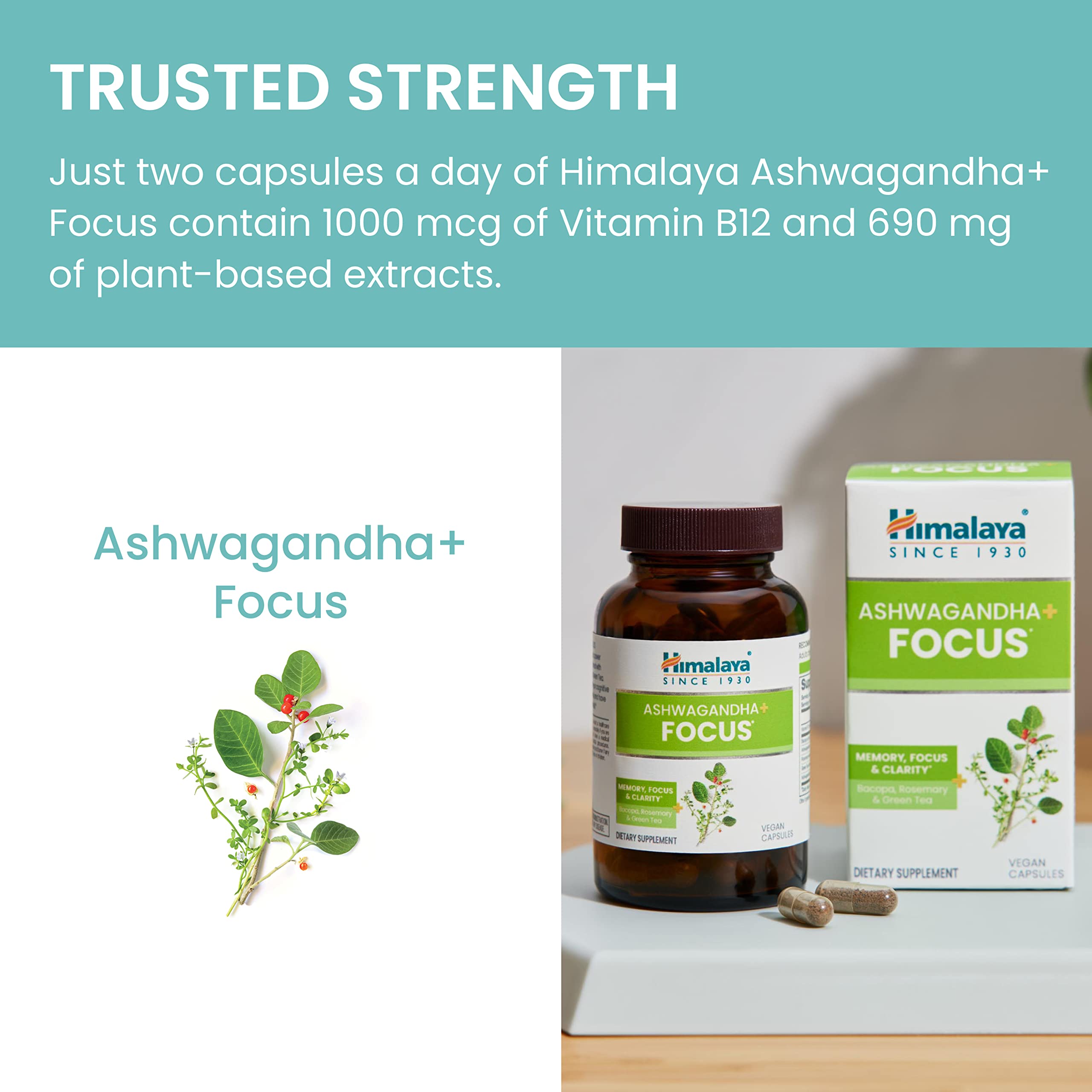 Himalaya Ashwagandha Capsules lifestyle scene on a kitchen table