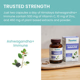 Himalaya Ashwagandha Capsules with a measuring spoon