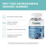 Himalaya Ashwagandha Gummies on a wooden table