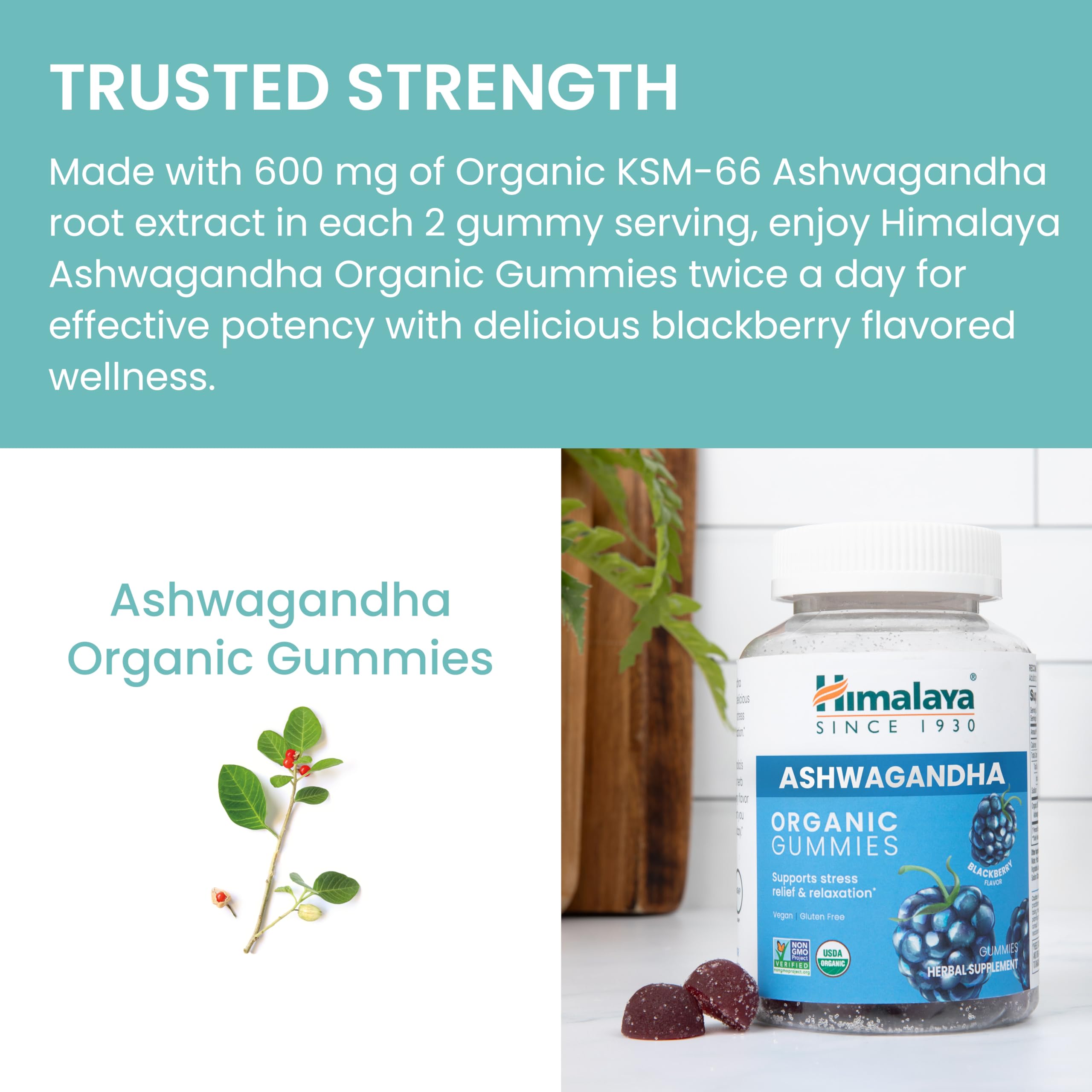 Himalaya Ashwagandha Gummies showing ingredients list