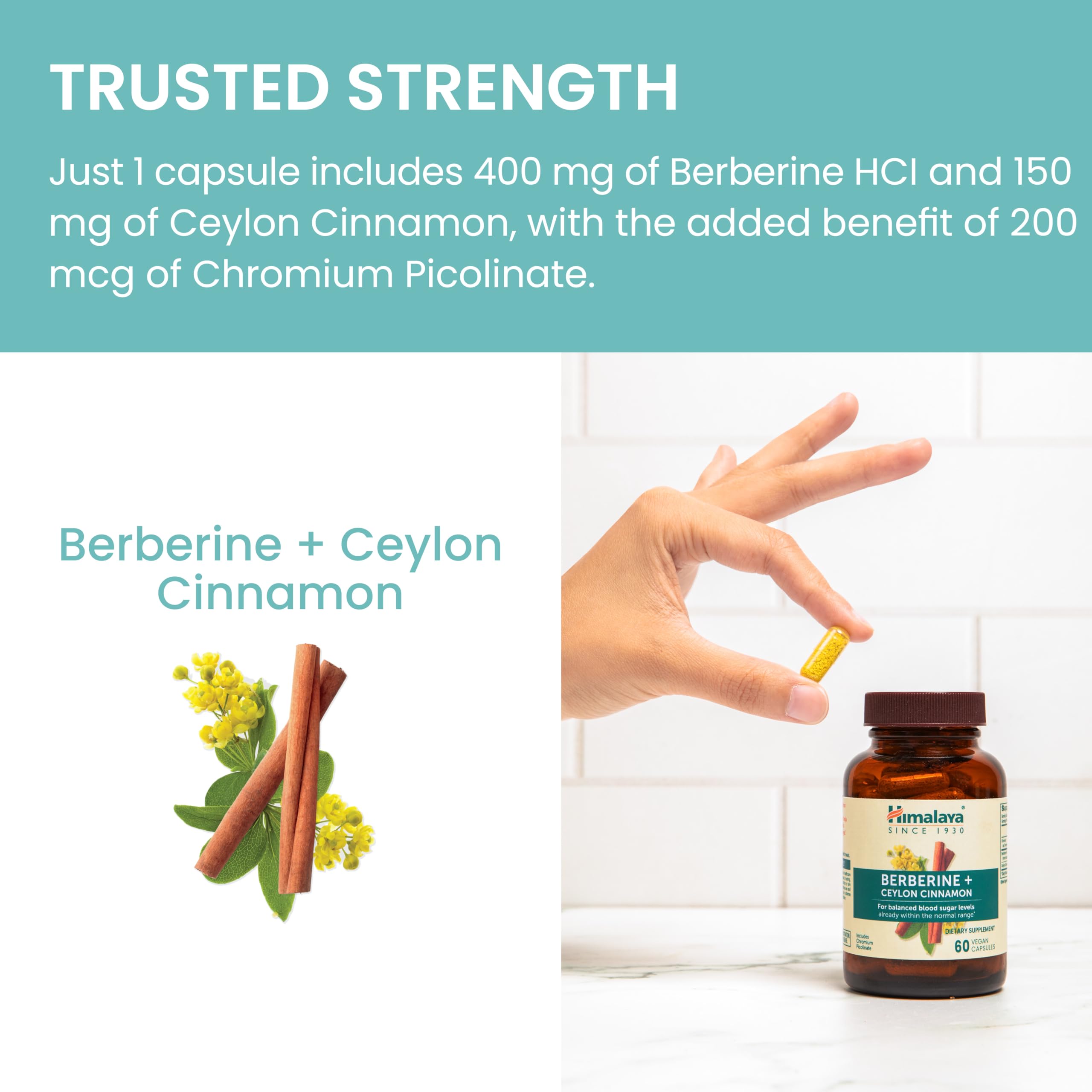 Himalaya Berberine Supplement vegan capsule detail