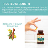 Himalaya Berberine Supplement vegan capsule detail
