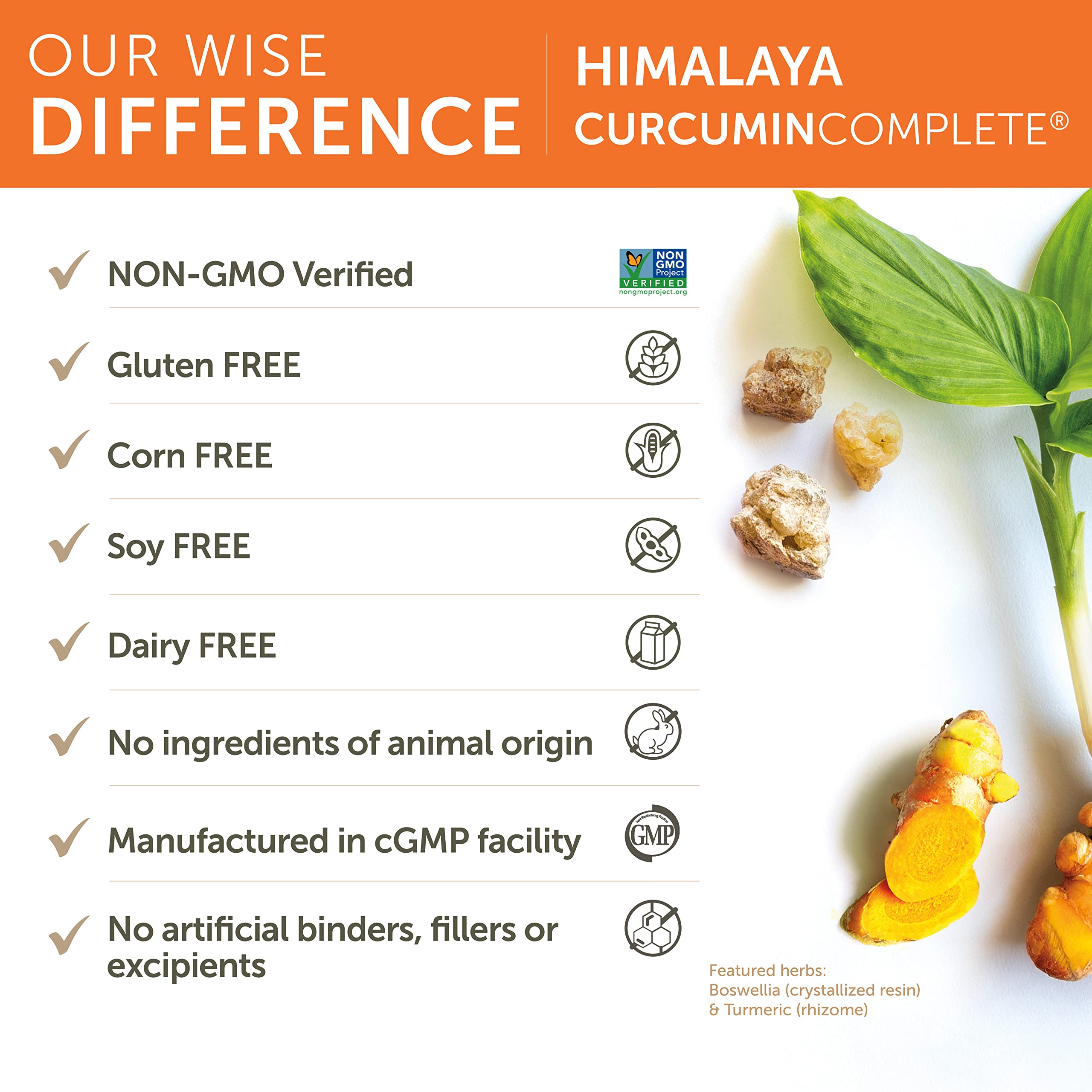 Himalaya Curcumin Complete Turmeric Supplement 200g capsule close-up