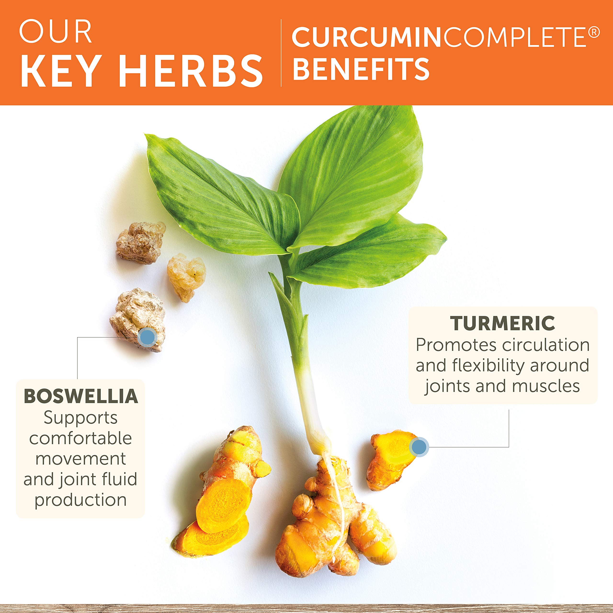 Himalaya Curcumin Complete Turmeric Supplement 200g ingredients list