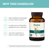 Himalaya Dandelion Root Capsules 1000mg back view