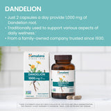 Himalaya Dandelion Root Capsules 1000mg packaging