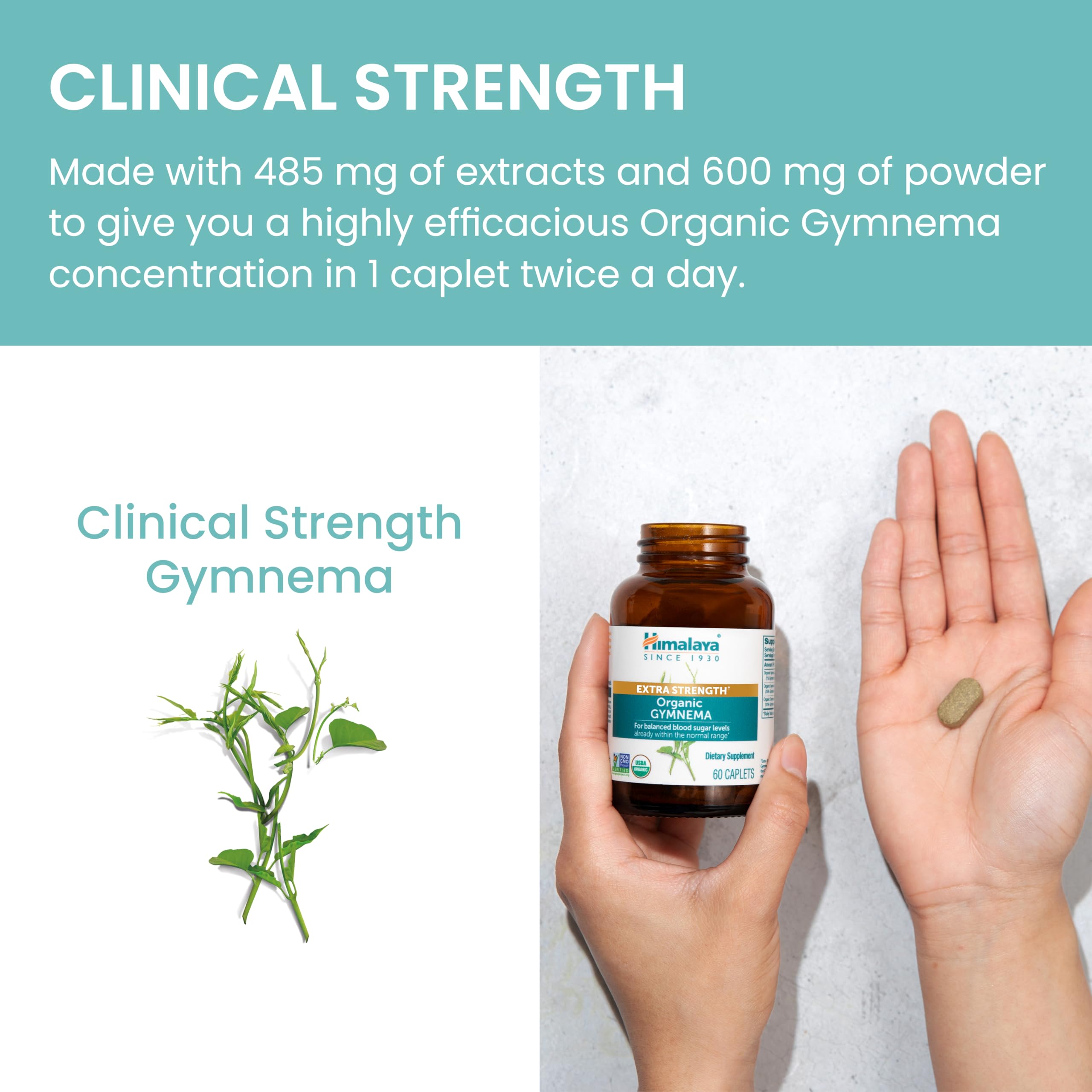 Himalaya Extra Strength Organic Gymnema 600mg Capsules on a wooden table