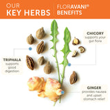 Himalaya FlorAvani Probiotic Supplement ingredients close-up