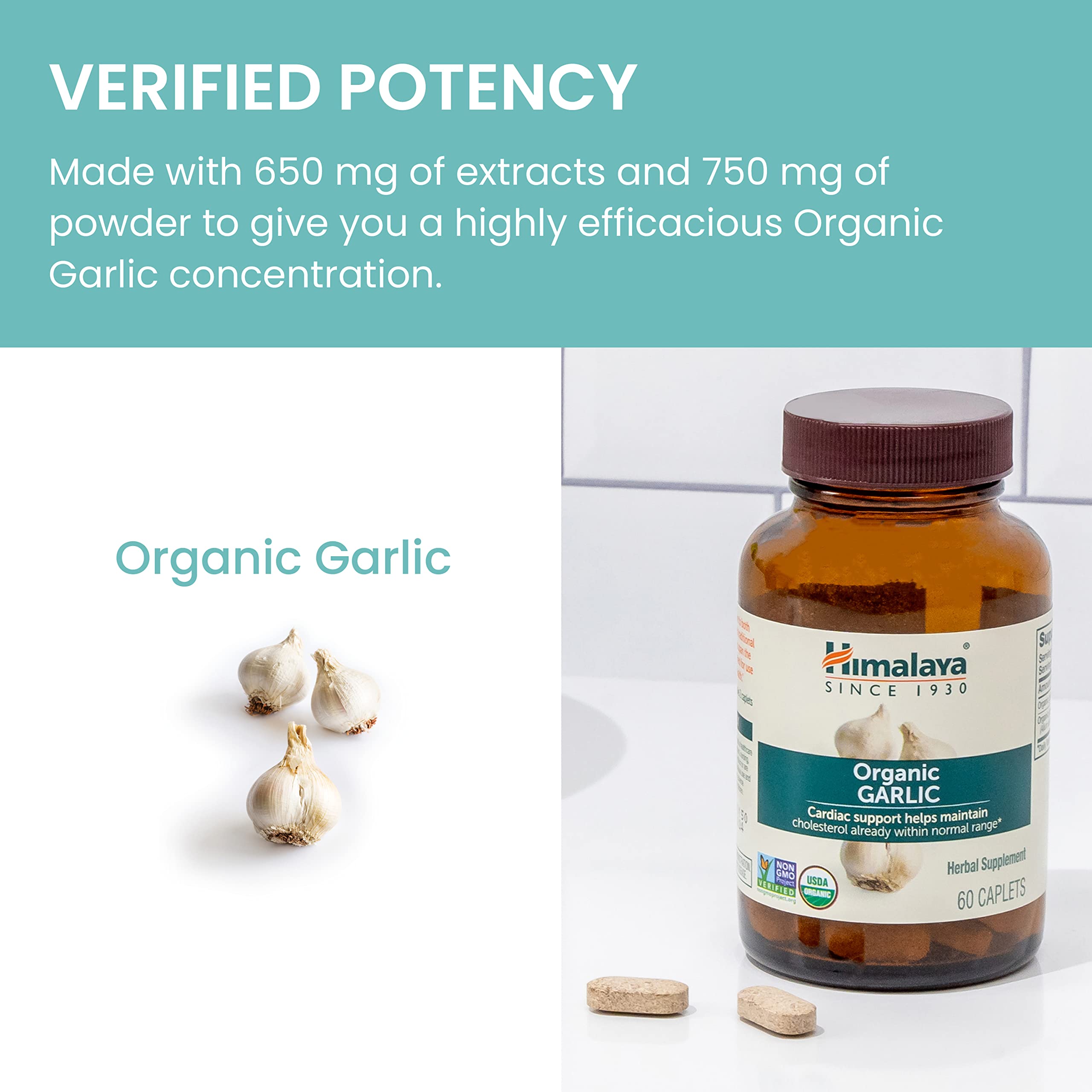 Himalaya Garlic Supplement bottle with caplets