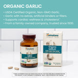 Himalaya Garlic Supplement caplets in a bowl