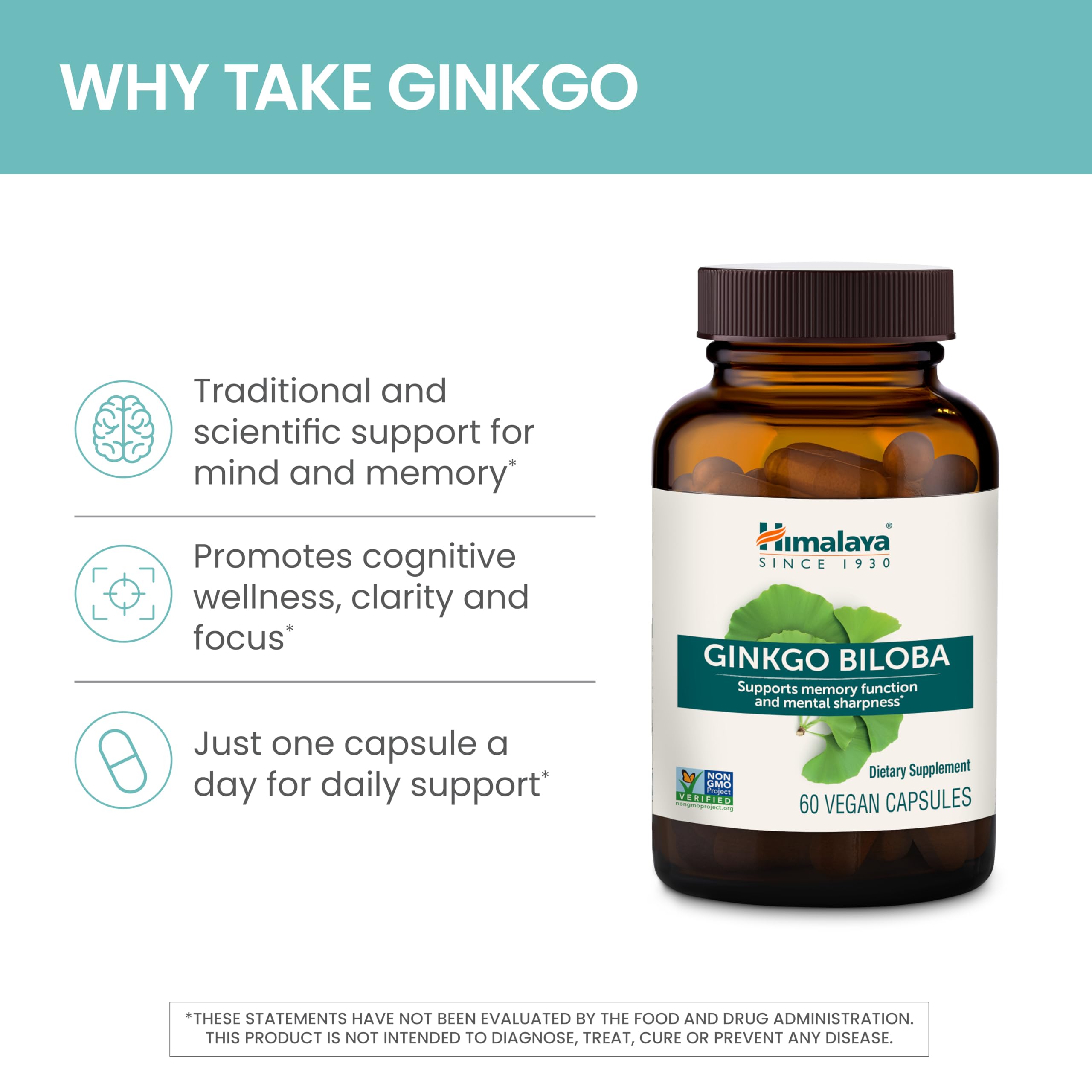 Himalaya Ginkgo Biloba 120mg capsules back view with ingredient list