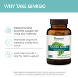 Himalaya Ginkgo Biloba 120mg capsules back view with ingredient list