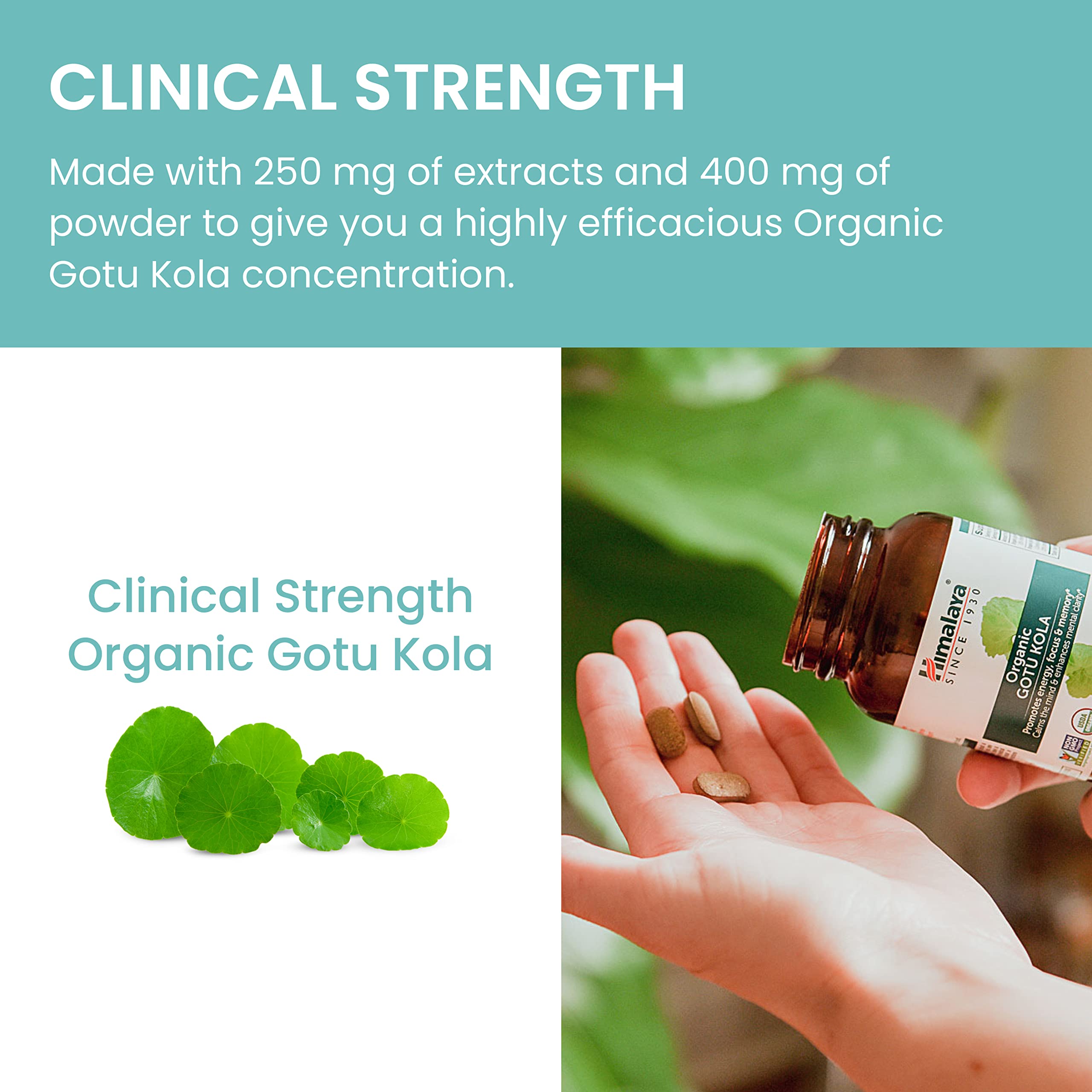 Himalaya Gotu Kola bottle with a measuring spoon