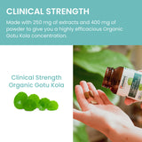 Himalaya Gotu Kola bottle with a measuring spoon