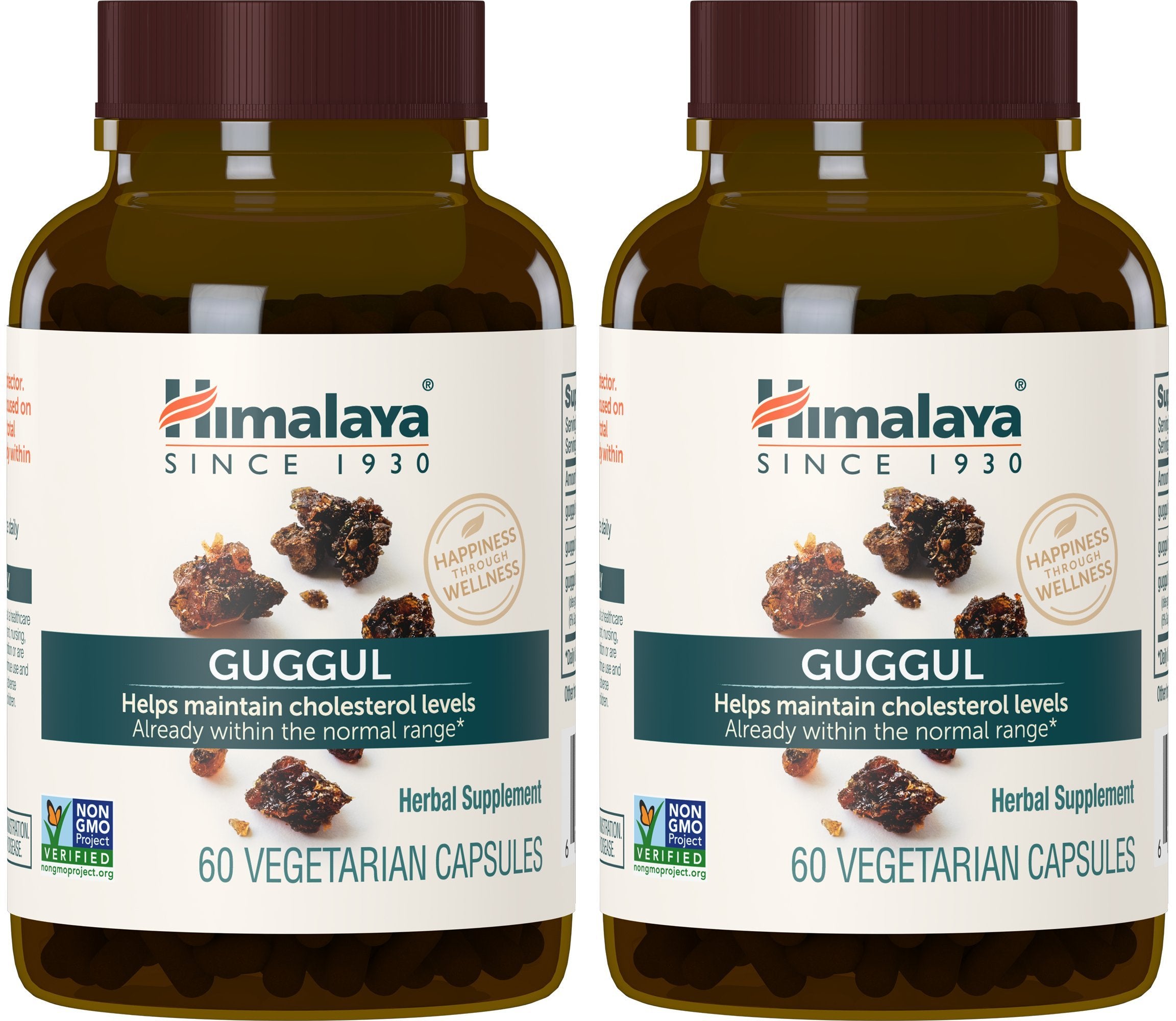 Himalaya Guggul Cholesterol Support Supplement front view