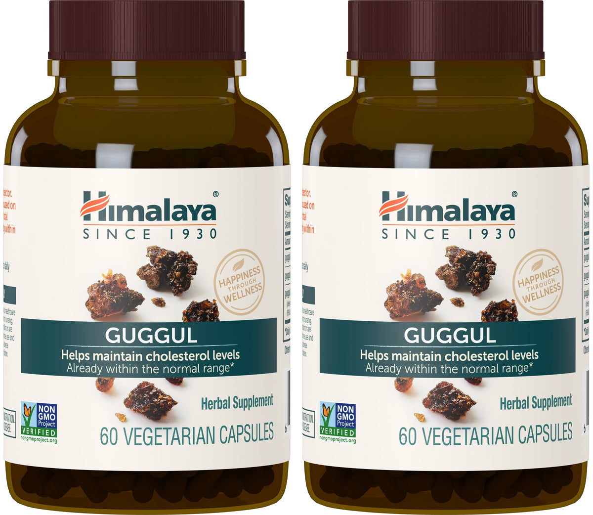 Himalaya Guggul Cholesterol Support Supplement front view