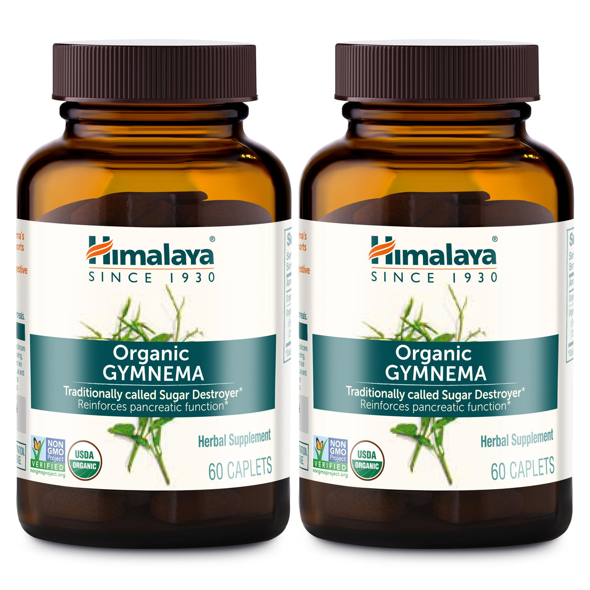 Himalaya Gymnema Sylvestre 700mg supplement front view with packaging
