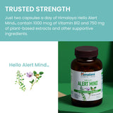 Himalaya Hello Alert Mind Brain Support Supplement with herbal ingredients