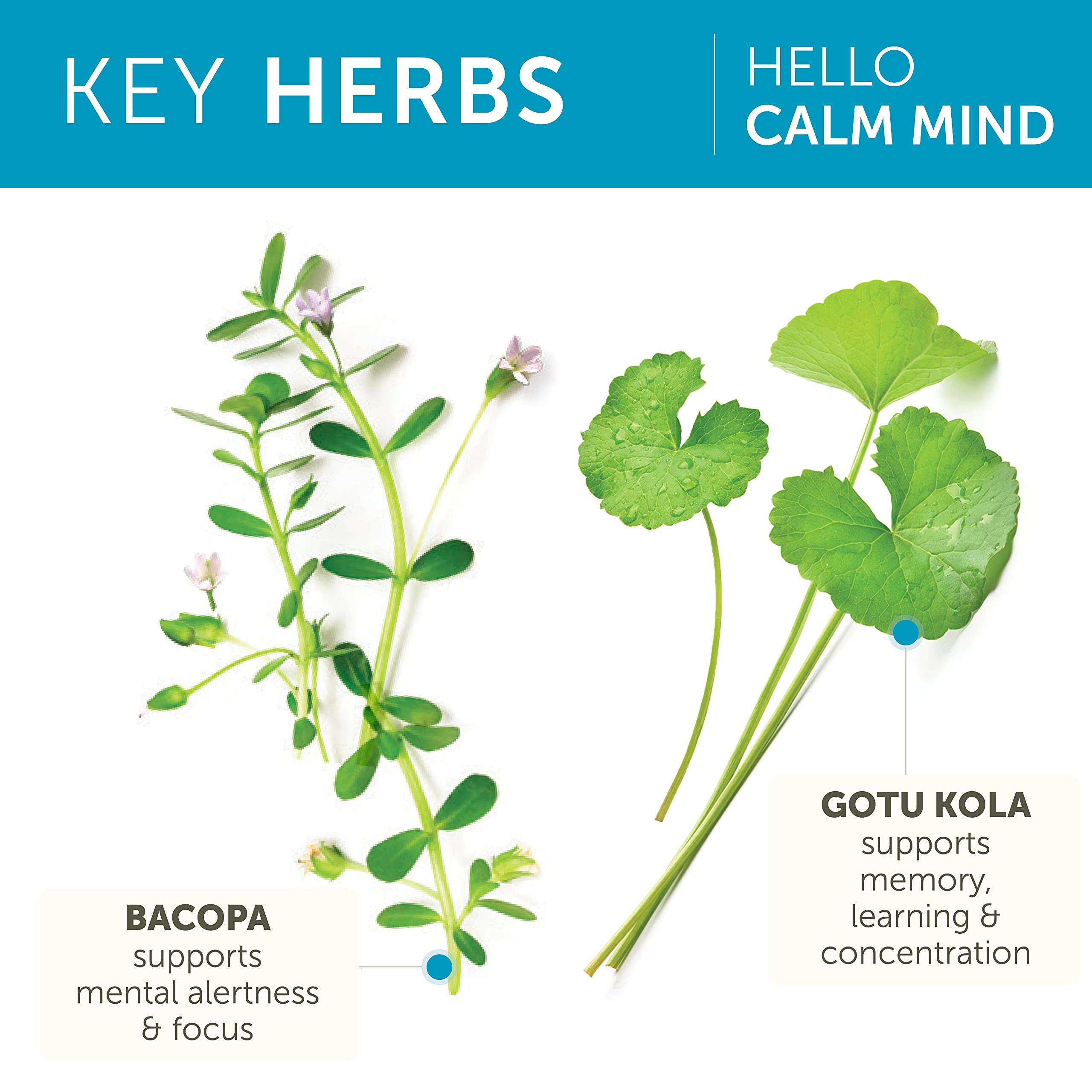 Himalaya Hello Calm Mind Bacopa Monnieri Supplement ingredients list