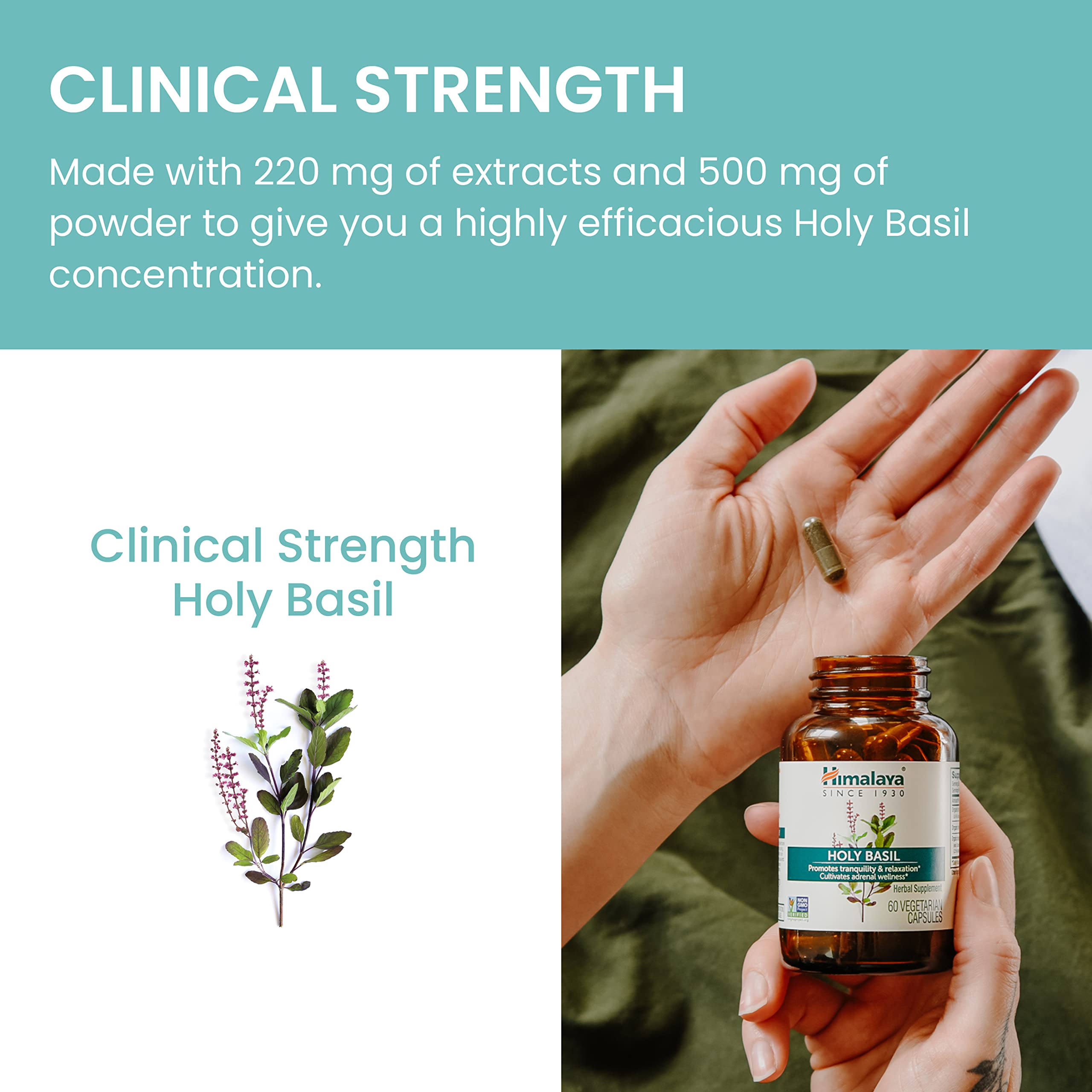 Himalaya Holy Basil Capsules lifestyle scene