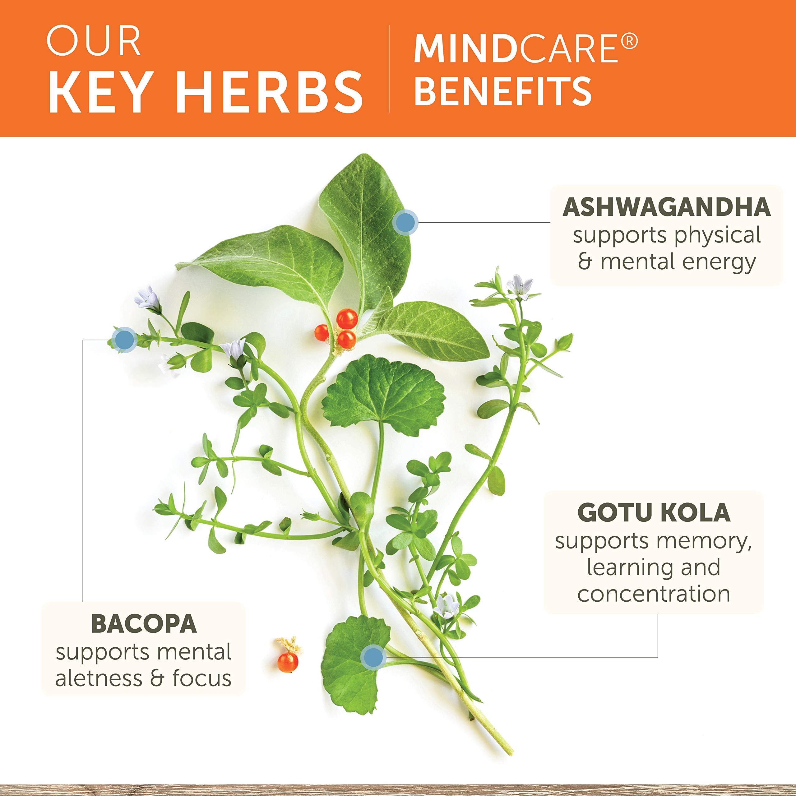 Himalaya MindCare Bacopa Monnieri supplement capsules on a wooden surface