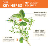 Himalaya MindCare Bacopa Monnieri Supplement ingredients list