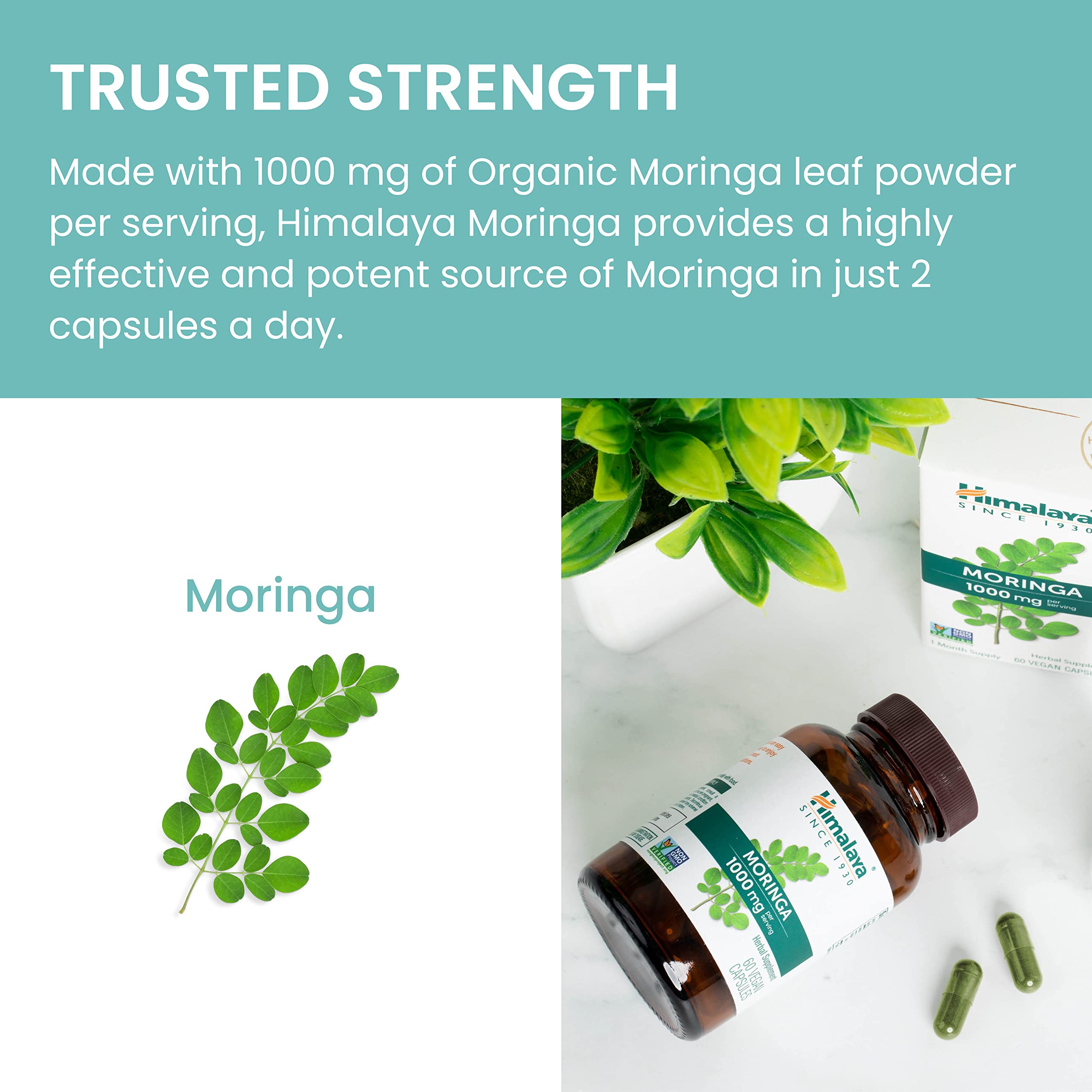 Himalaya Moringa Capsules 1000mg lifestyle scene with greenery