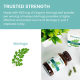 Himalaya Moringa Capsules 1000mg lifestyle scene with greenery