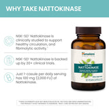 Himalaya NSK-SD Nattokinase 100mg Capsules with packaging