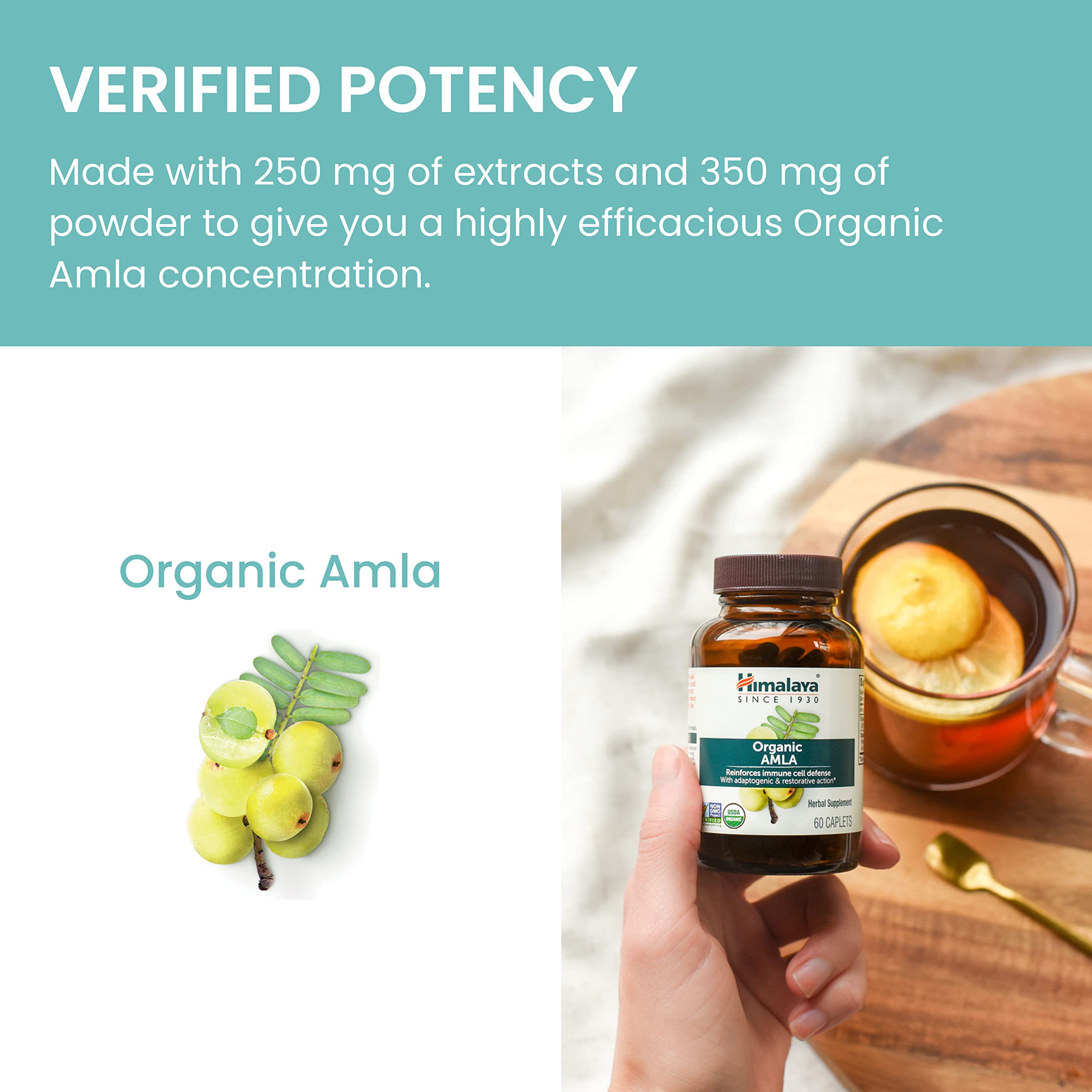 Himalaya Organic Amla supplement bottle with caplets