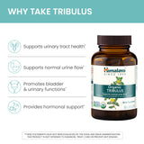 Himalaya Organic Tribulus 86g bottle on a wooden surface