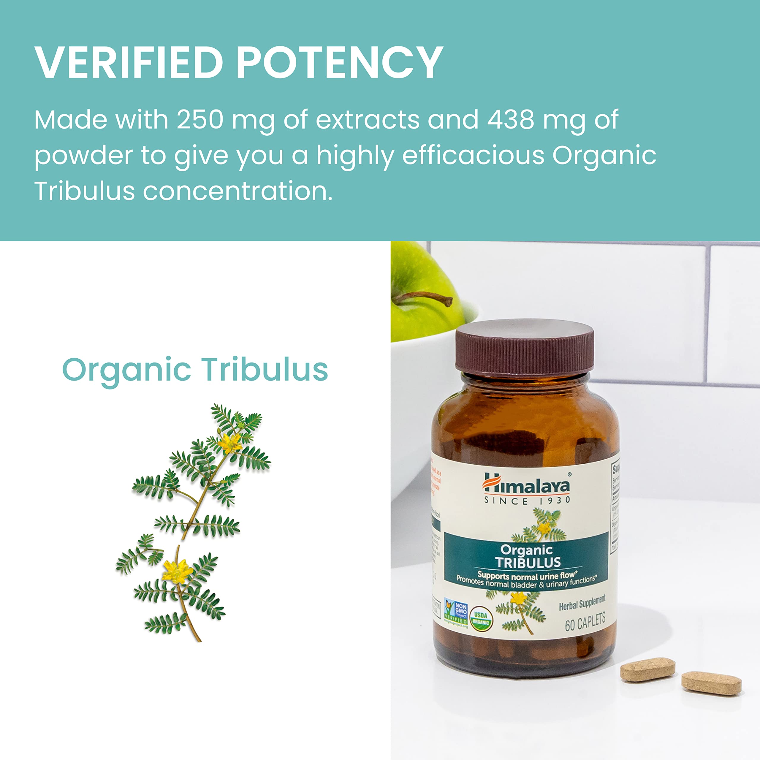 Himalaya Organic Tribulus 86g displayed with Ayurvedic herbs