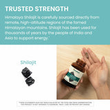 Himalaya Shilajit Capsules alongside other herbal supplements
