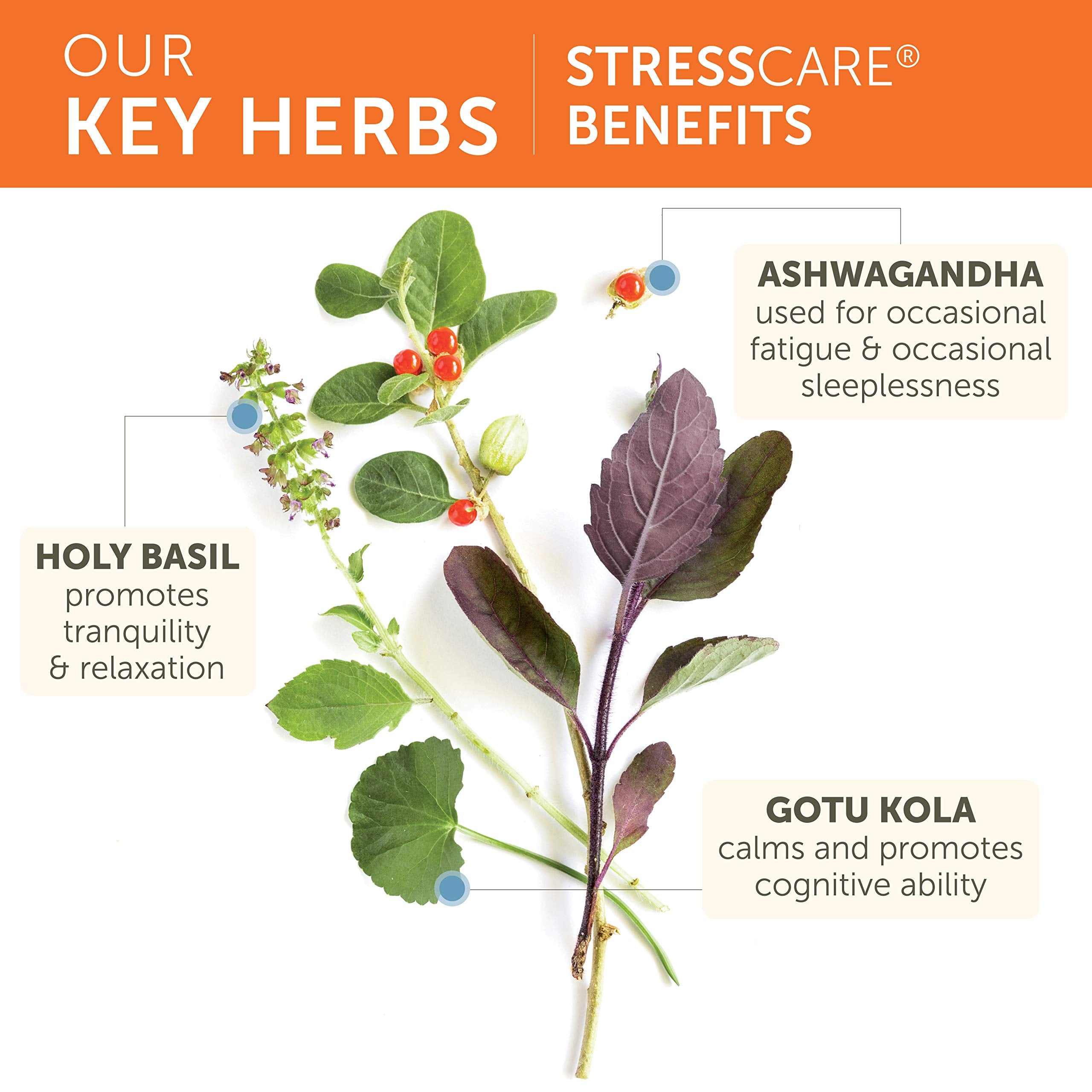Himalaya StressCare Ashwagandha Capsules packaging