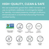 Himalaya Turmeric 95 supplement ingredients list