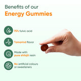 Himalayan Shilajit Gummies side view of bottle
