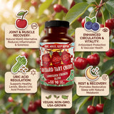 Hippie Farms Tart Cherry Capsules with a handful of cherries