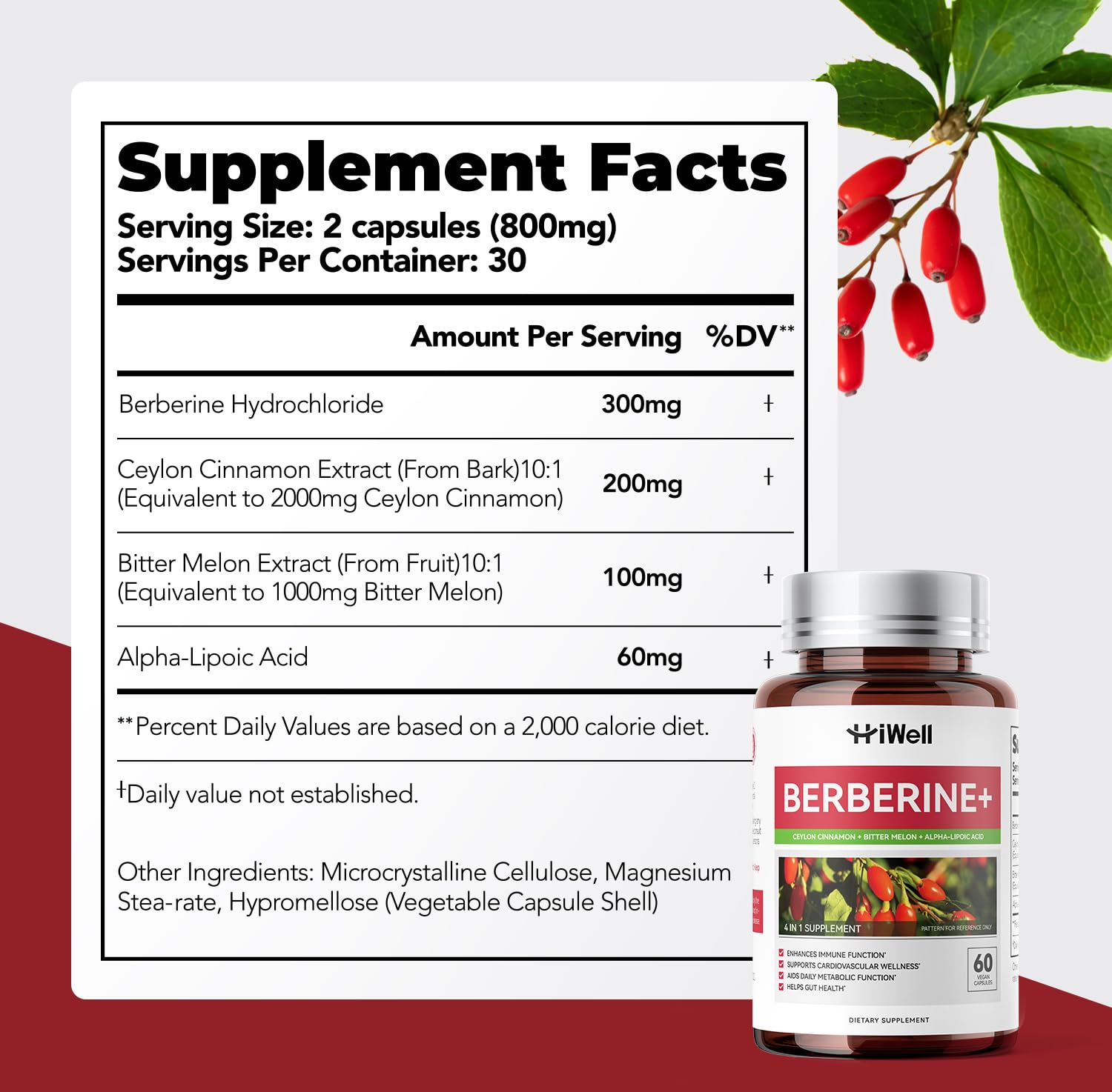 HiWell Cinnamon Supplement with Bitter Melon and Alpha-Lipoic Acid