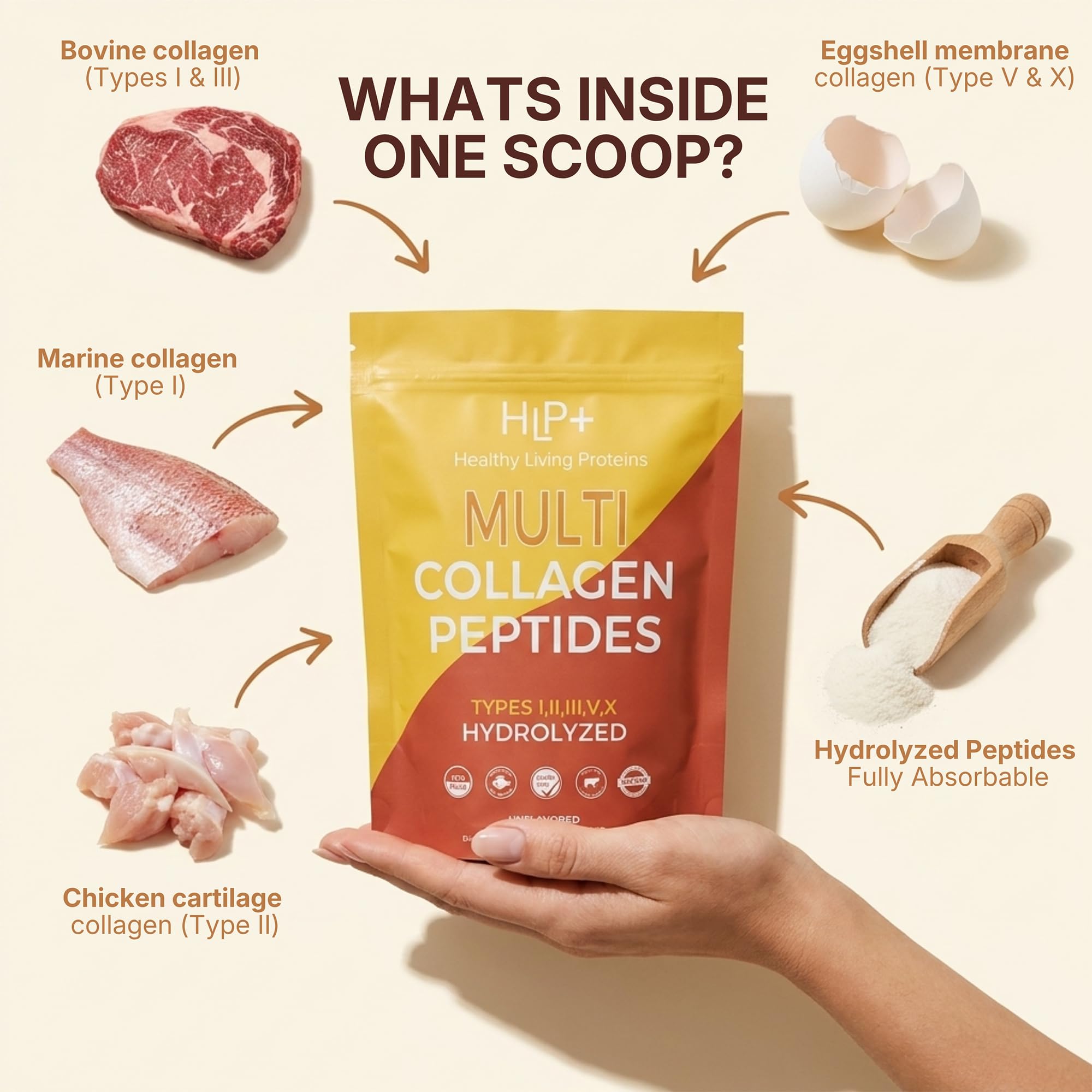 HLP Multi Collagen Peptides mixed in coffee