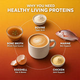 HLP Multi Collagen Peptides product dimensions