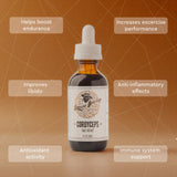 Hodgins Harvest Cordyceps Tincture on wooden table