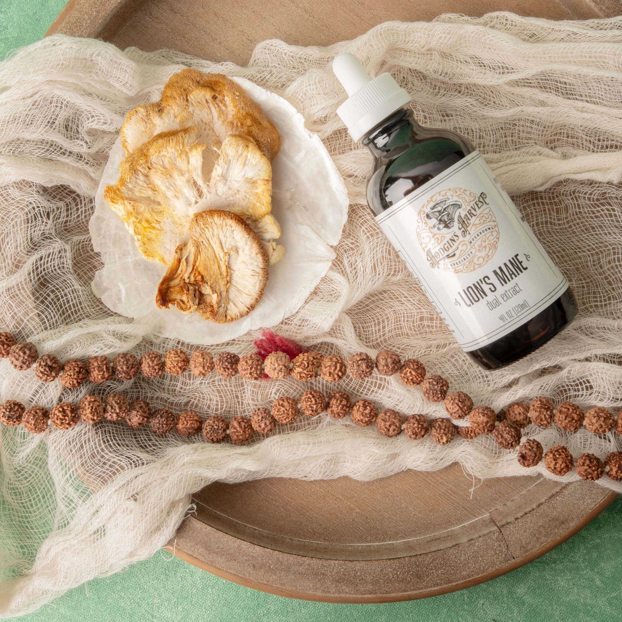 Hodgins Harvest Lion's Mane Mushroom Tincture in a lifestyle setting