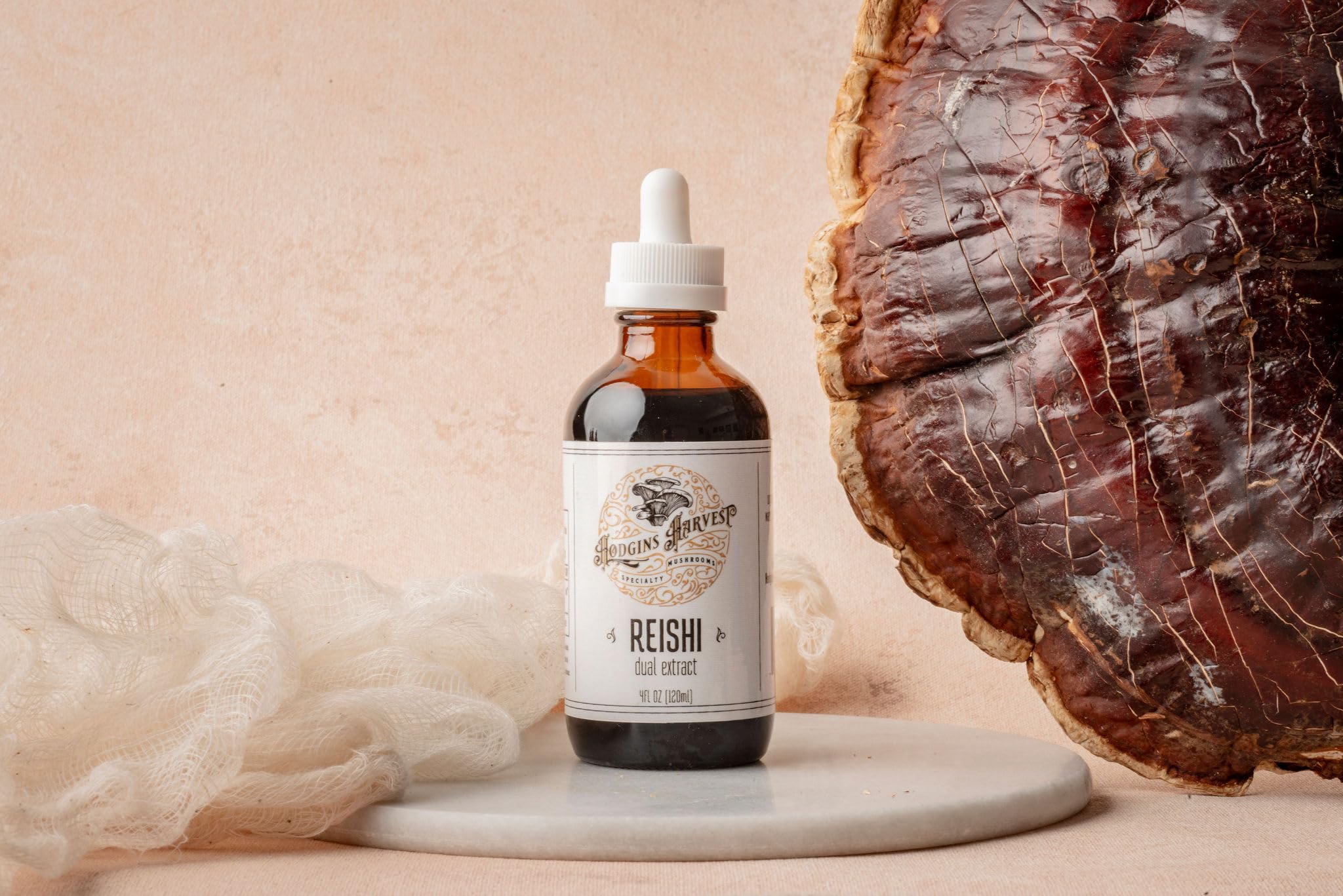 Hodgins Harvest Reishi Mushroom Tincture 118g in natural setting