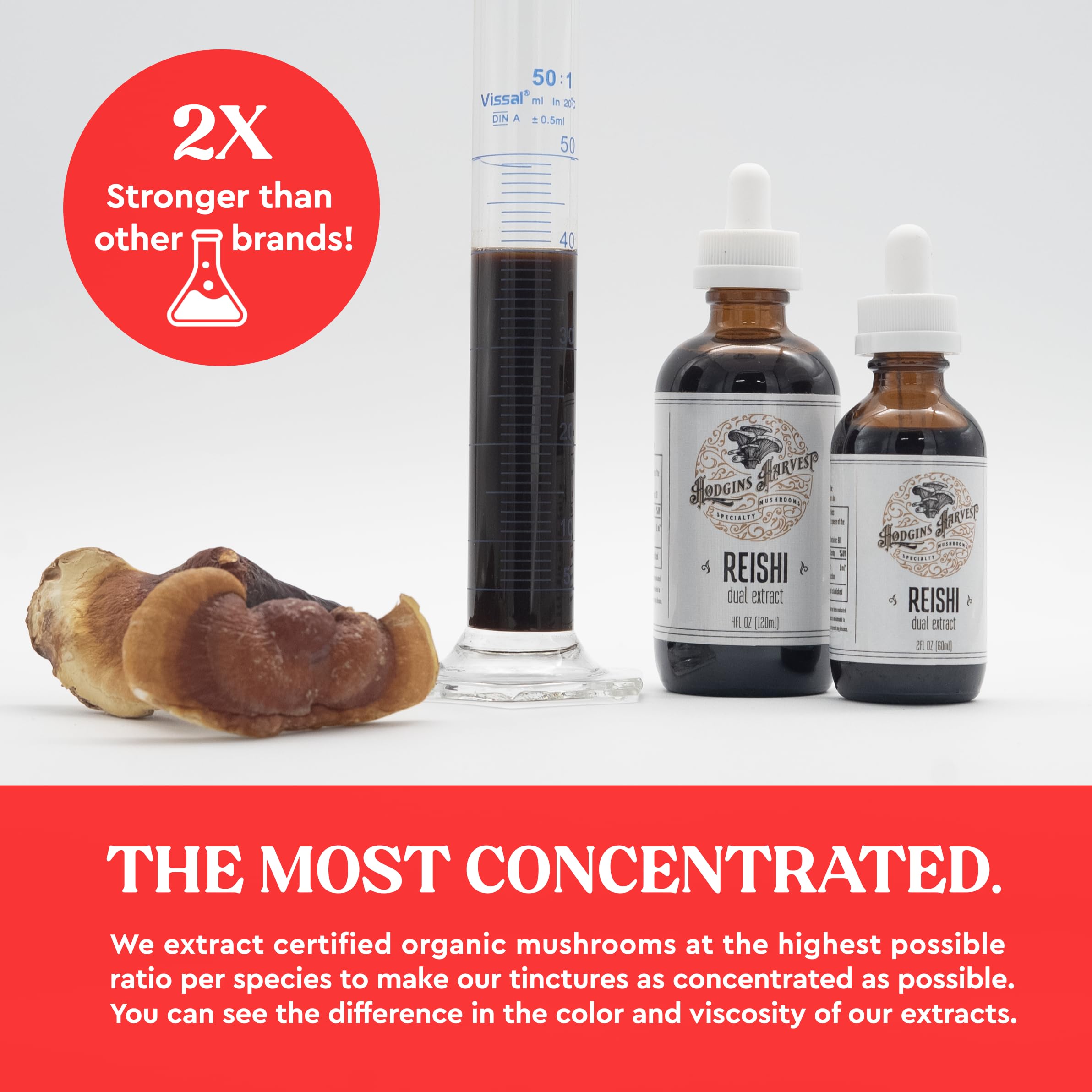 Hodgins Harvest Reishi Mushroom Tincture 118g label close-up