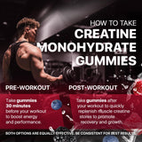 Hofnie Creatine Gummies lifestyle scene with fitness gear